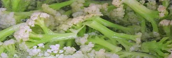 焯煮、油炸設(shè)備